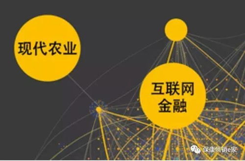 互聯網+農產品業態 ?？倒╀N社以“五有”模式助力鄉村振興