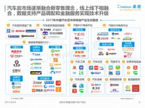 2017上半年中國汽車后市場電商專題分析 互聯(lián)網數據透視行業(yè)變革